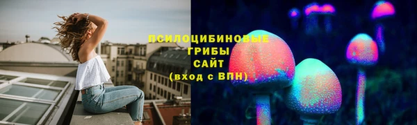 винт Богородицк